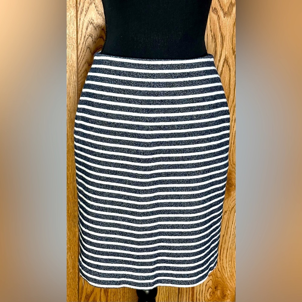 Women's Ann Taylor skirt